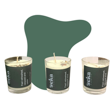 Load image into Gallery viewer, Mini Eucalyptus, Chamomile and Lavender
