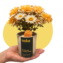Load image into Gallery viewer, Pumpkin Spice Soy Candle, Christmas Autumn Fall Vegan Soy Wax Candle
